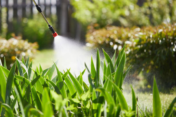 24/7 Emergency Termite Control experts in Biltmore, TN